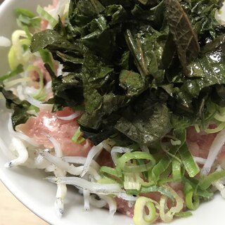 ネギトロとしらすの丼